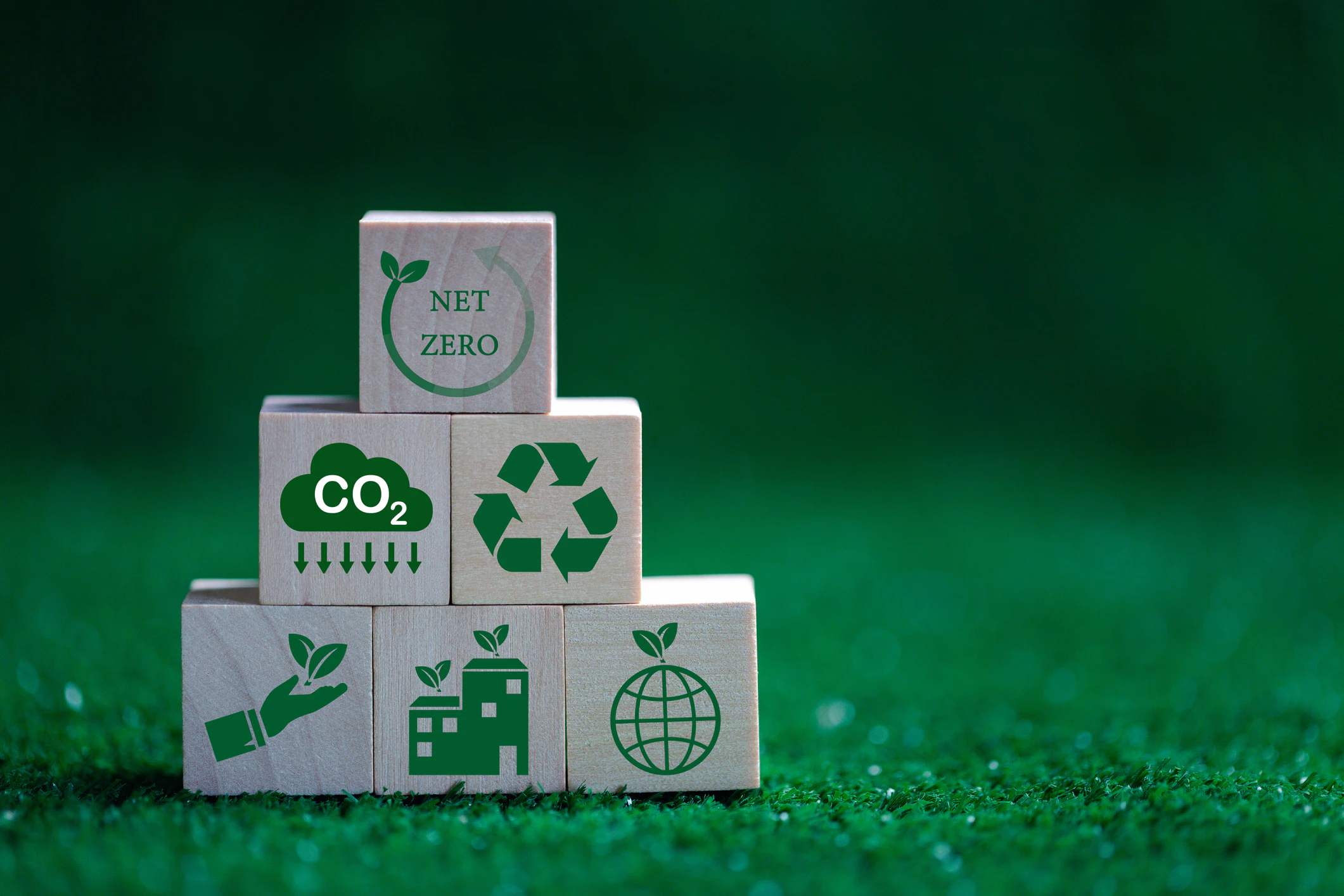 Innovative CPG Packaging Trends to Support Sustainability: What Leading CPG Companies are Doing