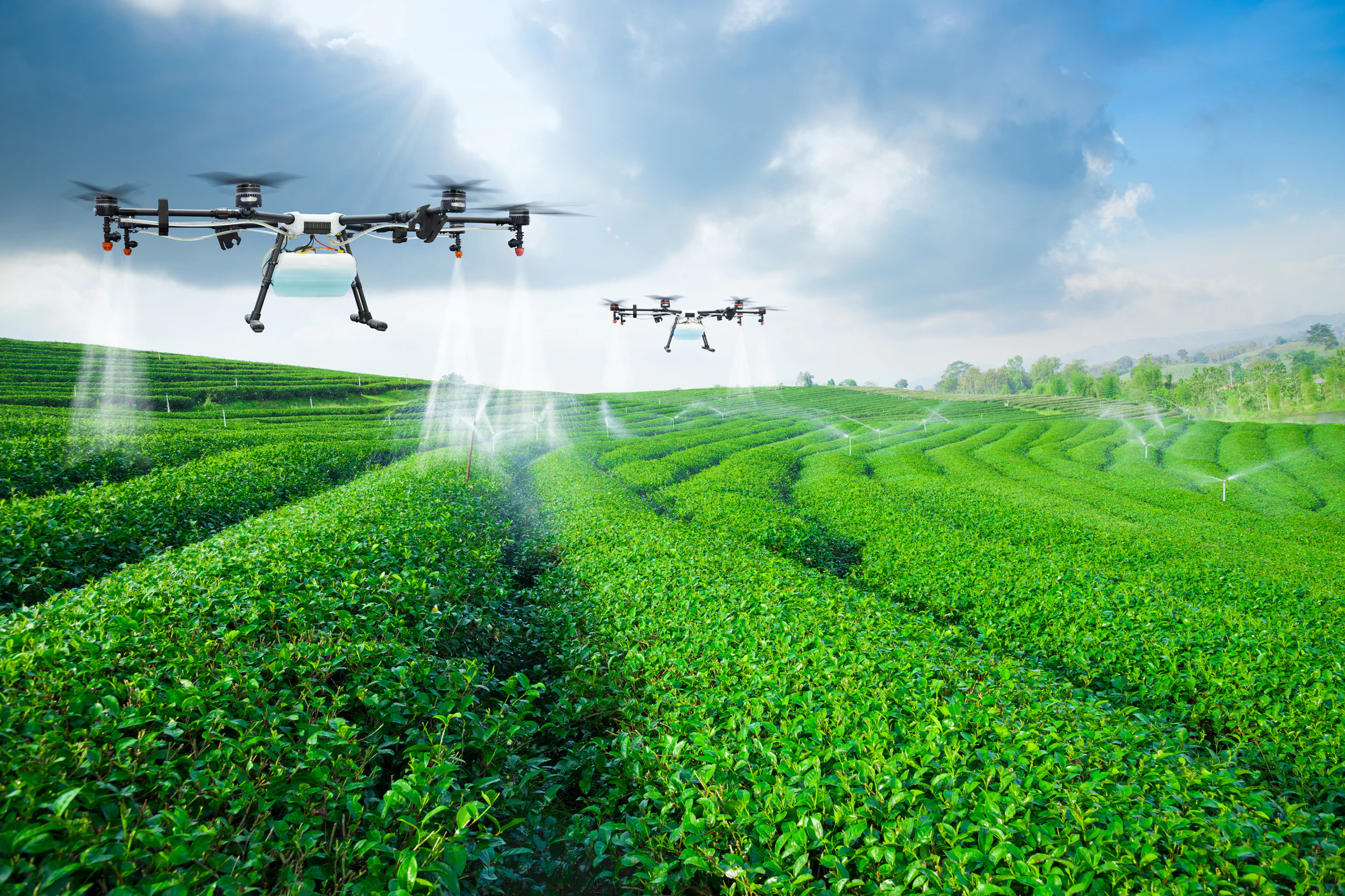 How AI is Transforming Farming and What It Means for F&B Procurement