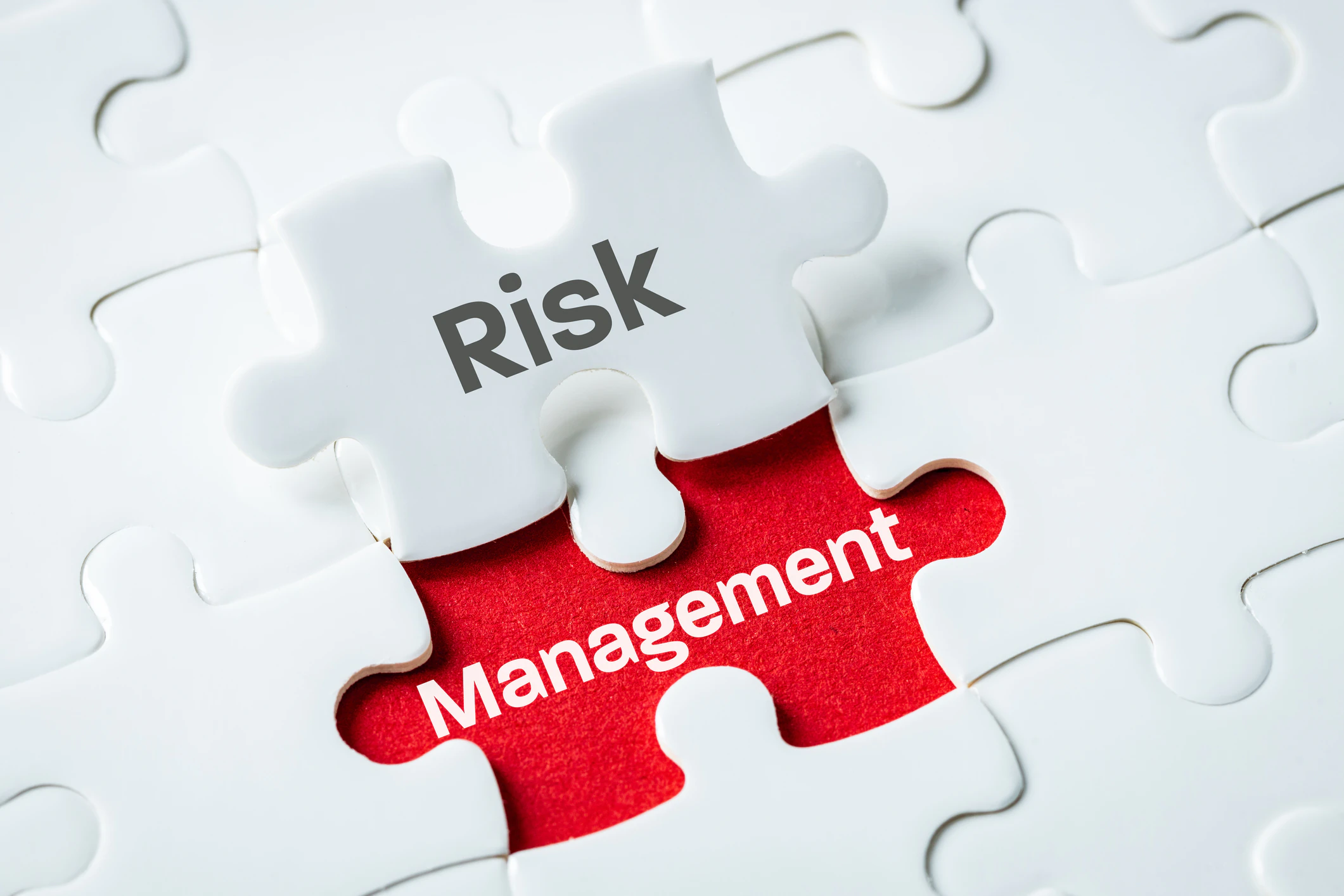 Supply Chain Risk Management in Food and Beverage Industry
