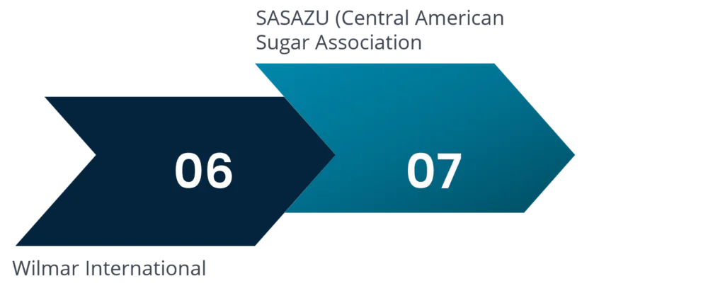 top sugar manufacturers